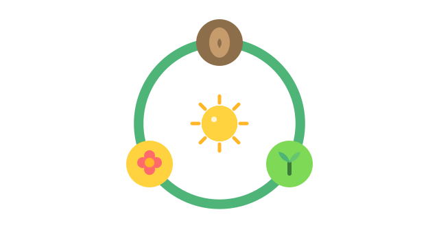 Life Cycle Sequence