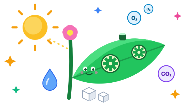 Photosynthesis Factory