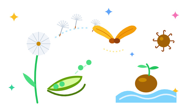 Seed Travelers