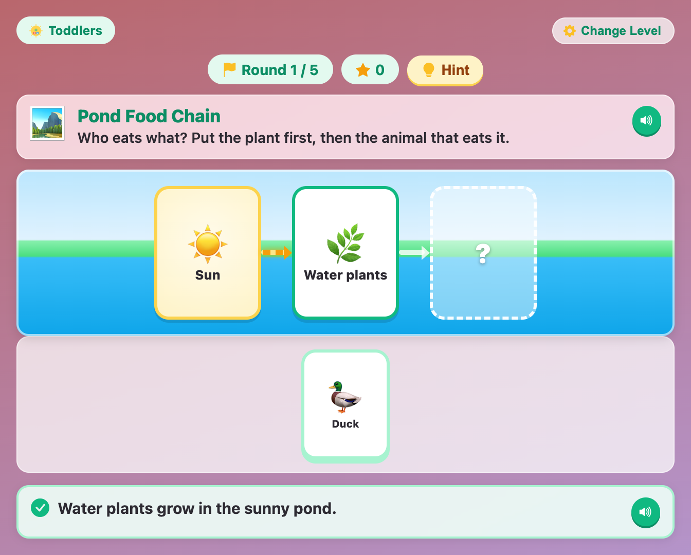 a Pond food chain for toddlers with the Sun and water plants in place and a duck card waiting below