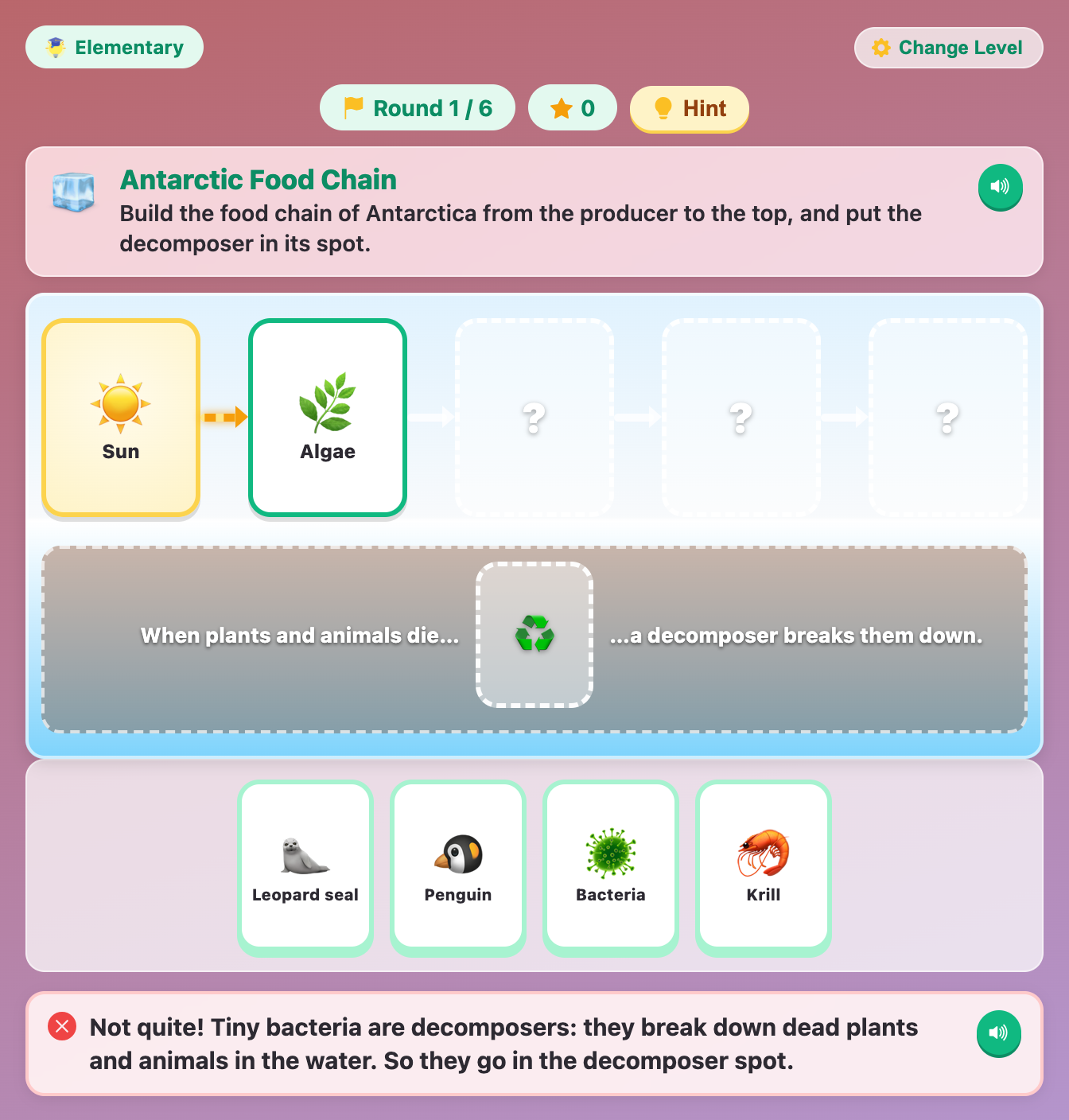 an Antarctic food chain at the Elementary level with a red Not quite message after bacteria went in the wrong spot