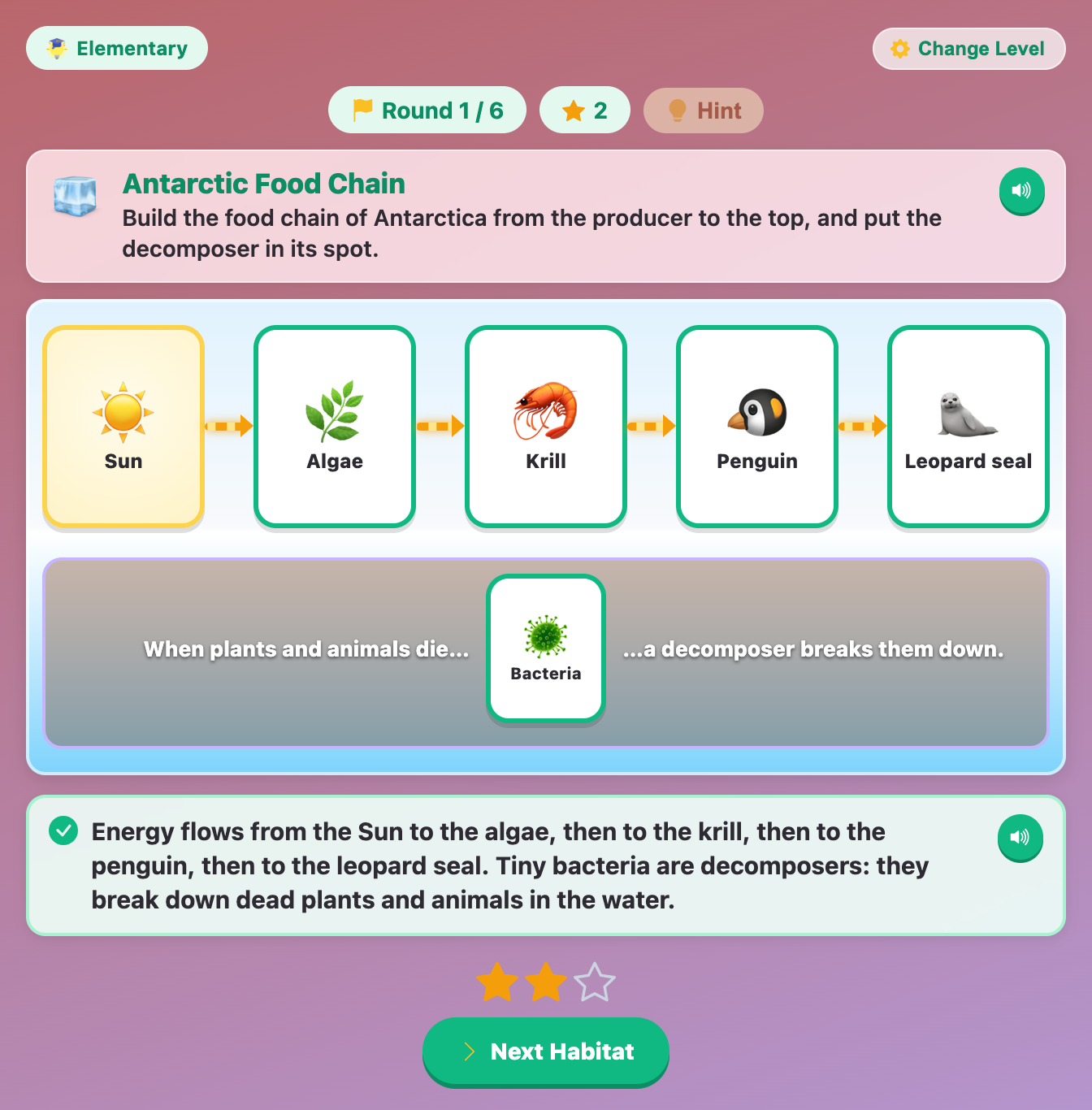 the finished Antarctic food chain from the Sun to algae, krill, a penguin and a leopard seal, with bacteria as the decomposer