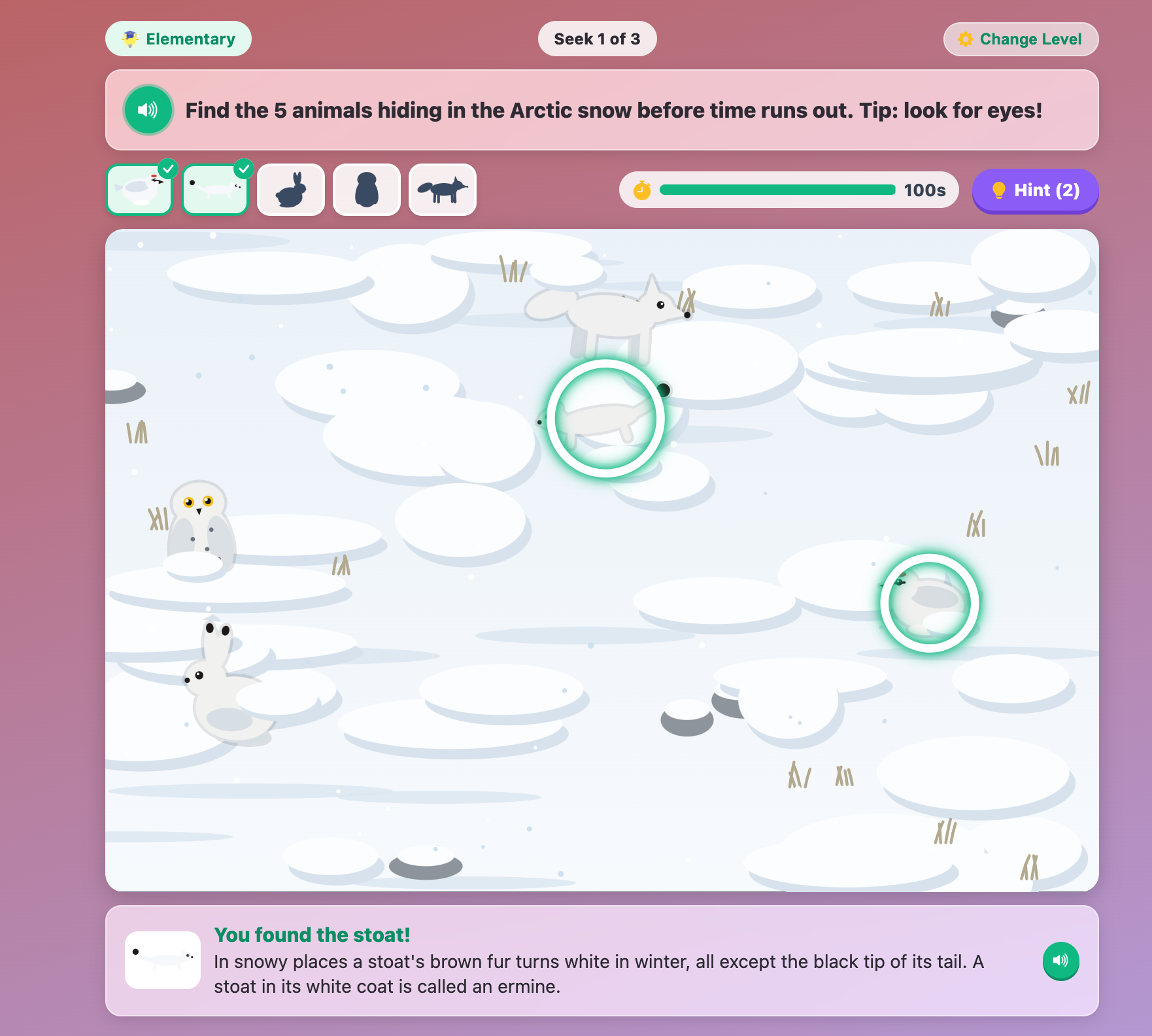 an Arctic snow scene at the Elementary level with the ptarmigan and stoat circled and a fact card about the stoat