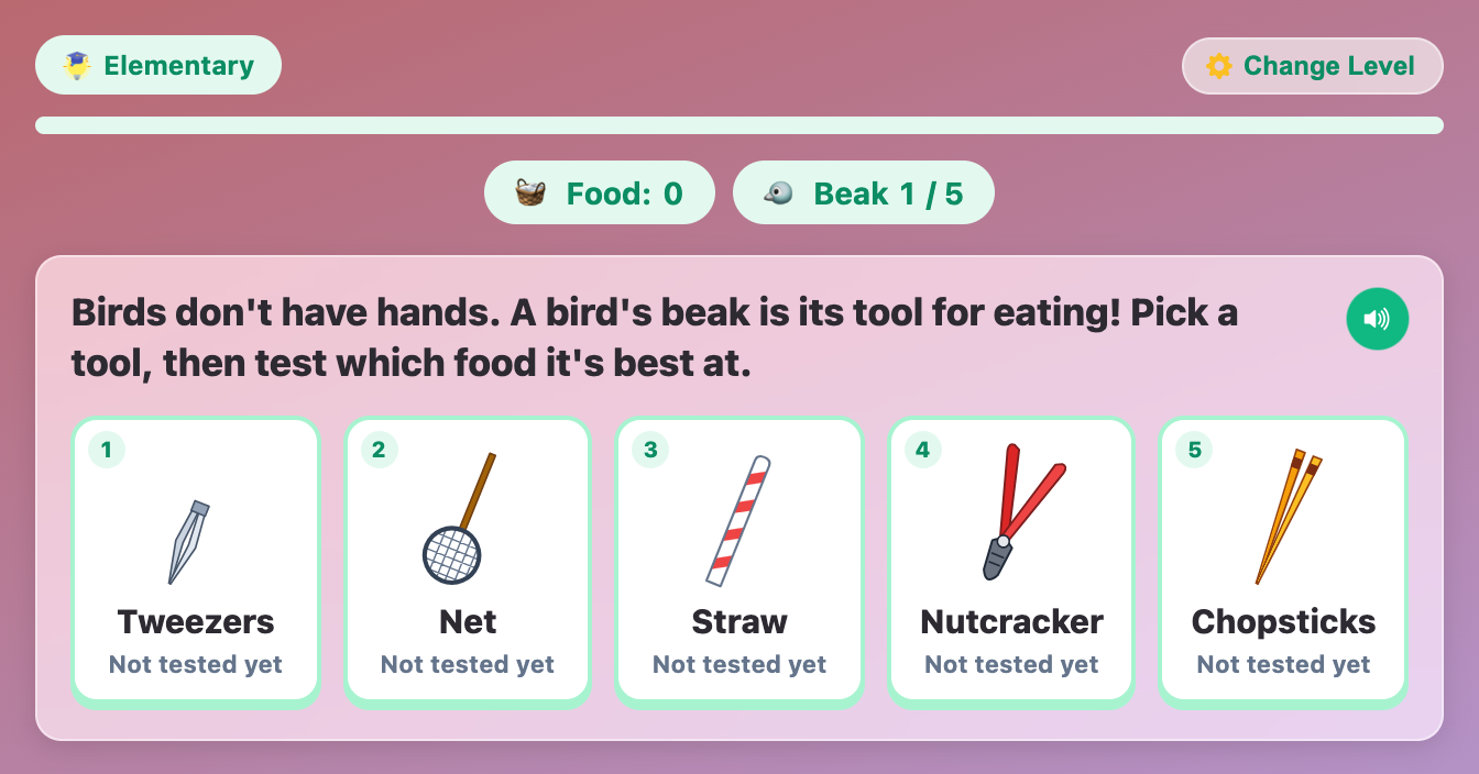 the tool rack in Bird Beak Buffet for kids, with tweezers, a net, a straw, a nutcracker and chopsticks to test