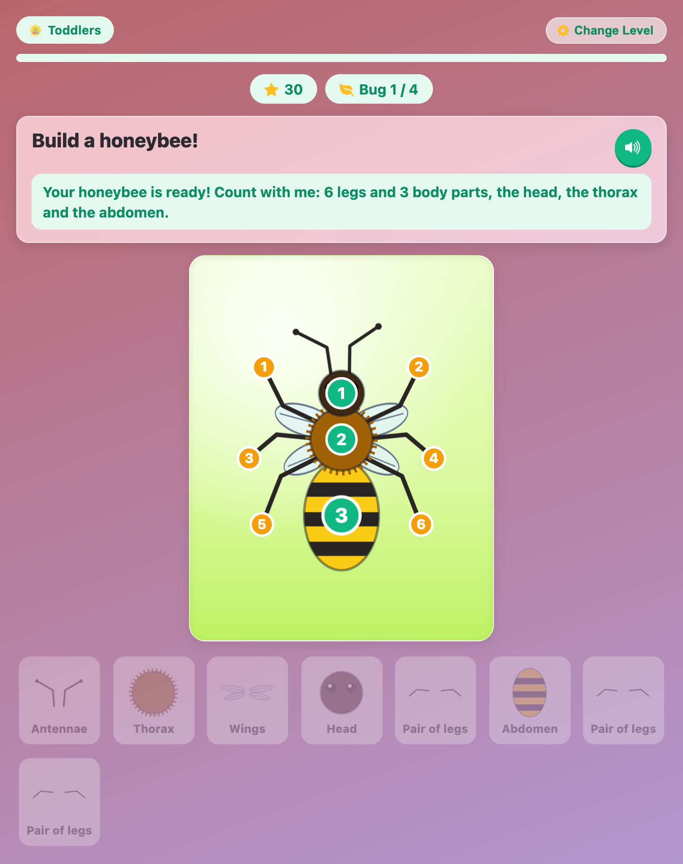a finished honeybee with numbered badges counting its 6 legs and 3 body parts