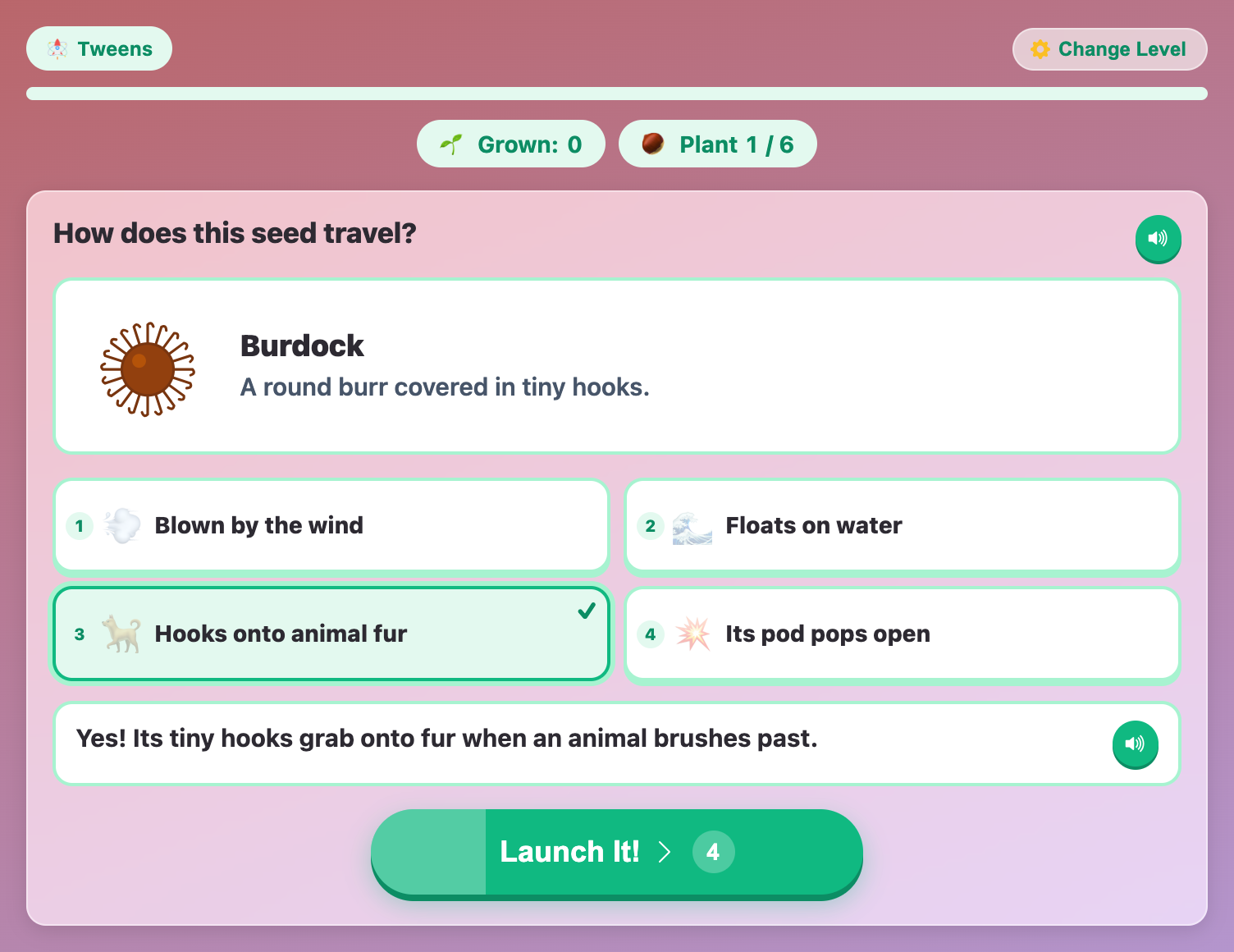 the How does this seed travel question for tweens, with Hooks onto animal fur picked for the burdock burr
