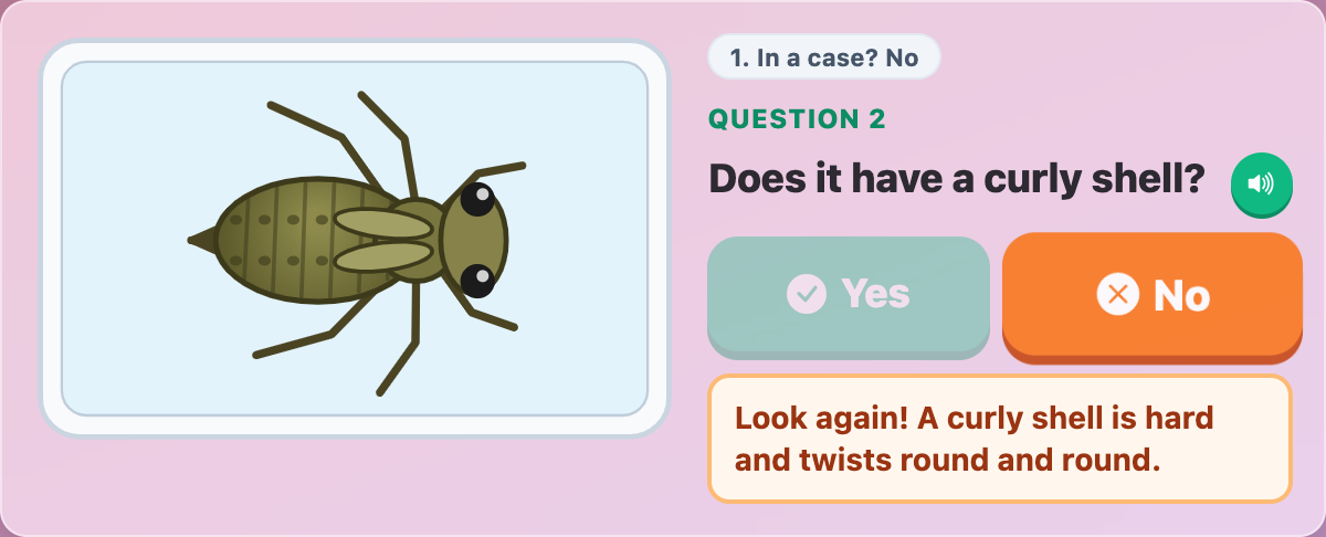 a dragonfly nymph in the white tray, with a Look again hint after a wrong answer to the curly shell question