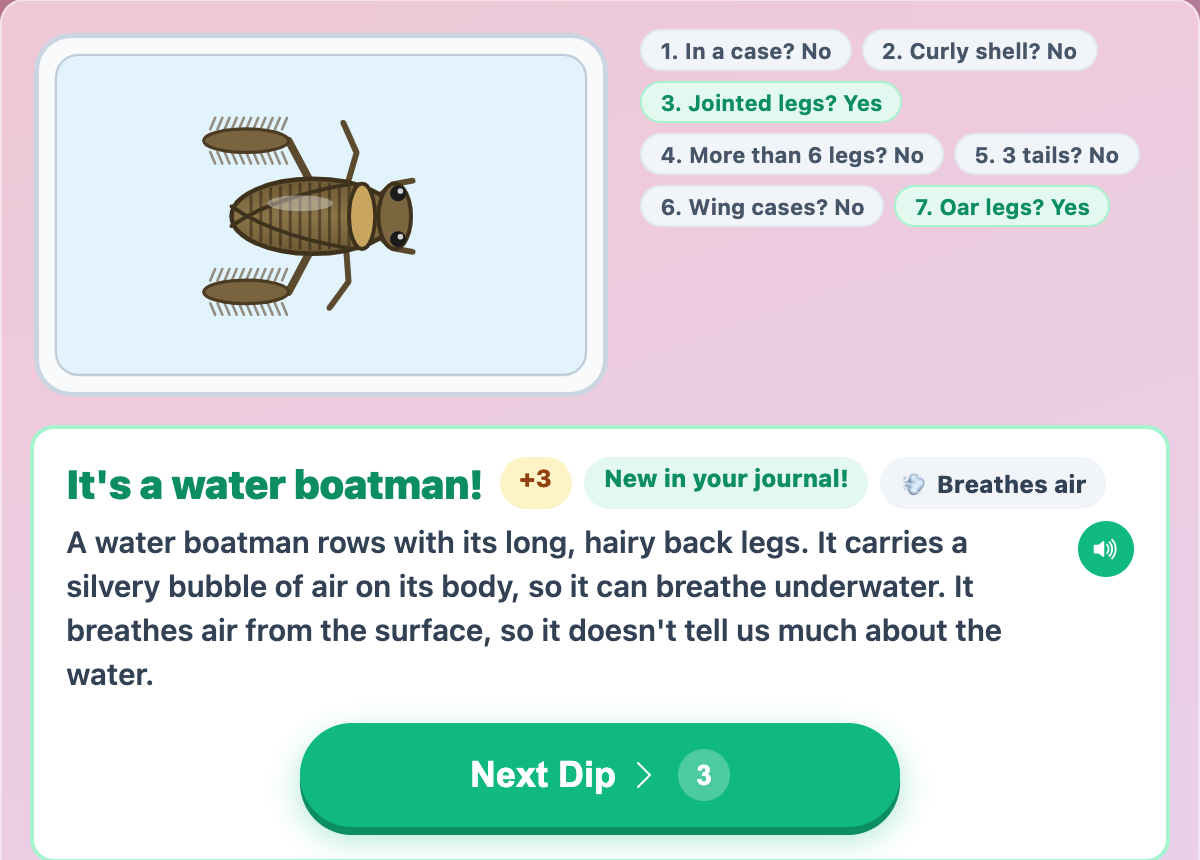 a water boatman named in Pond Dip Detective for tweens after seven key questions, with its Breathes air water sign