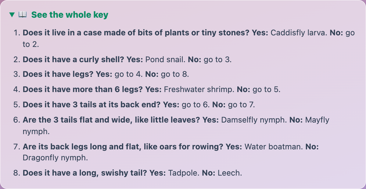 the whole Elementary key in Pond Dip Detective, written as eight numbered yes-or-no questions