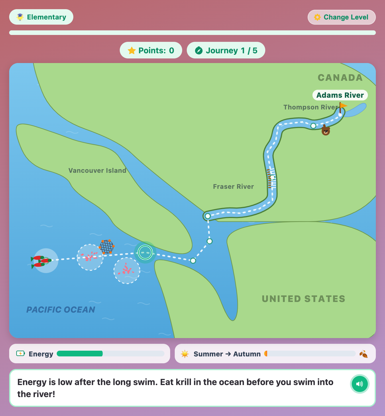the sockeye salmon map in Migration Journey for elementary kids, with krill swarms, a fishing net, the winding Fraser River and a bear near Adams River