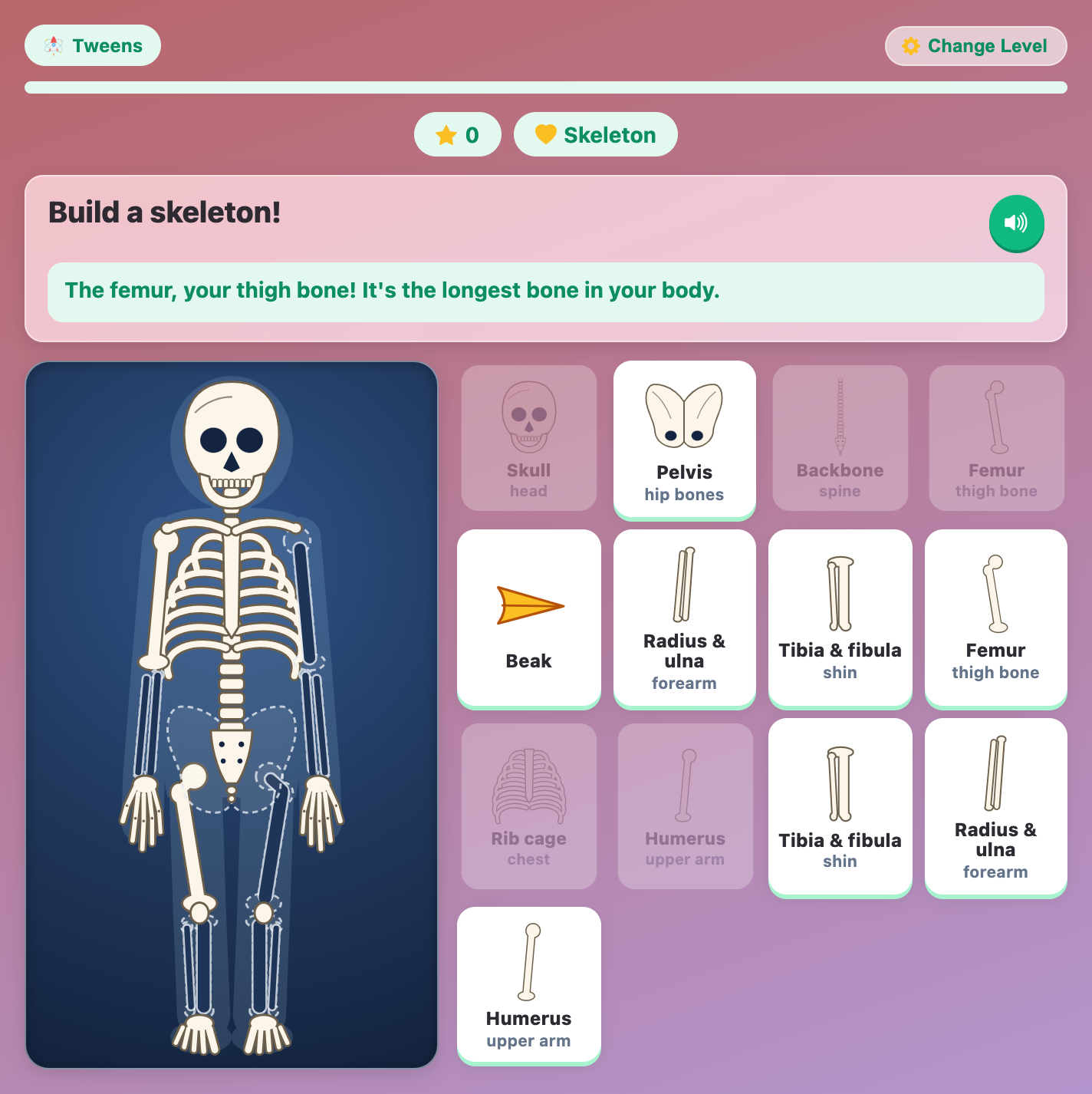 a half-built skeleton at the Tweens level, with Radius and ulna, Tibia and fibula and a trick Beak card in the tray