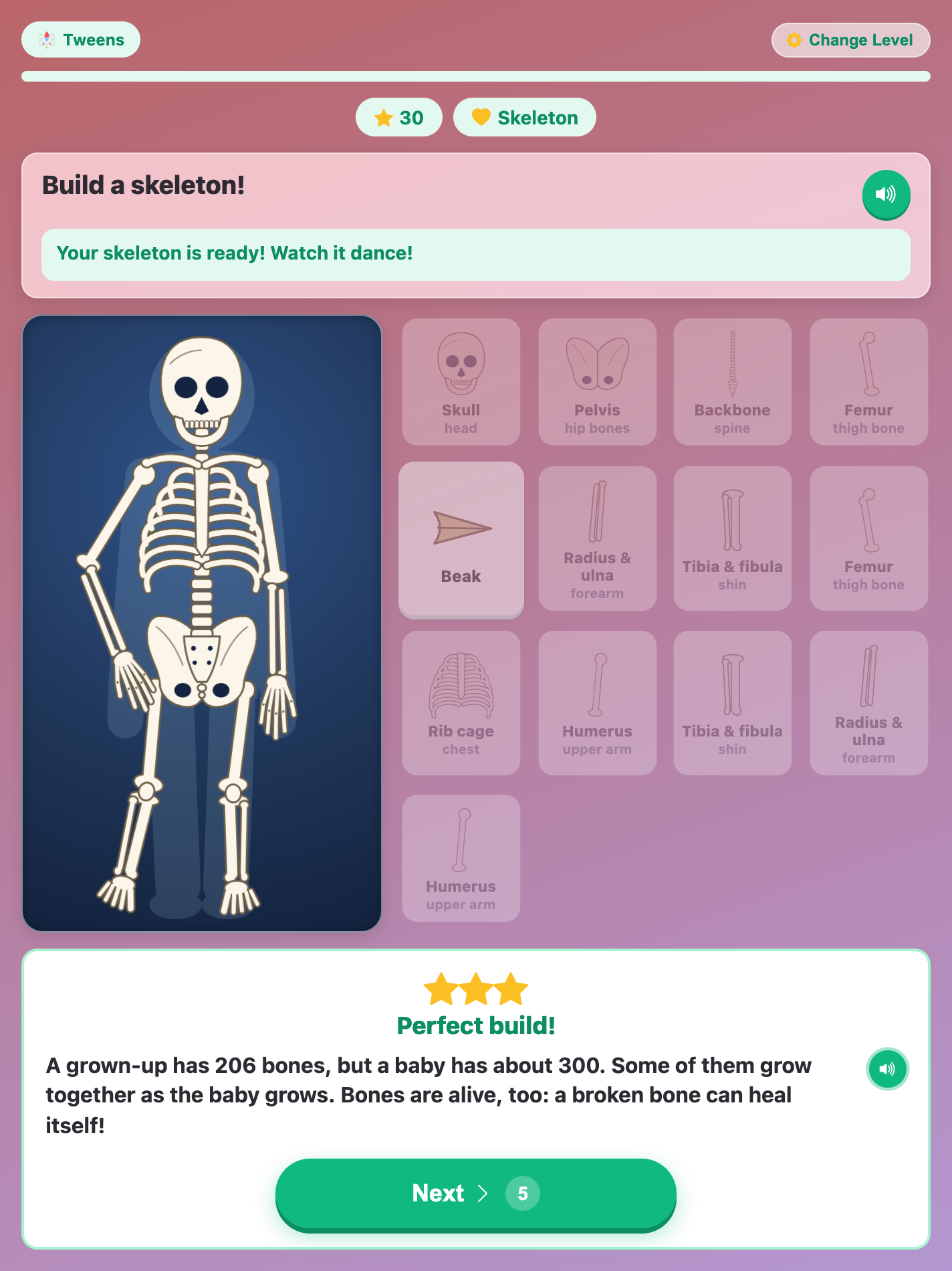 the finished skeleton dancing on the X-ray stage, with three stars, Perfect build and a fact about 206 bones
