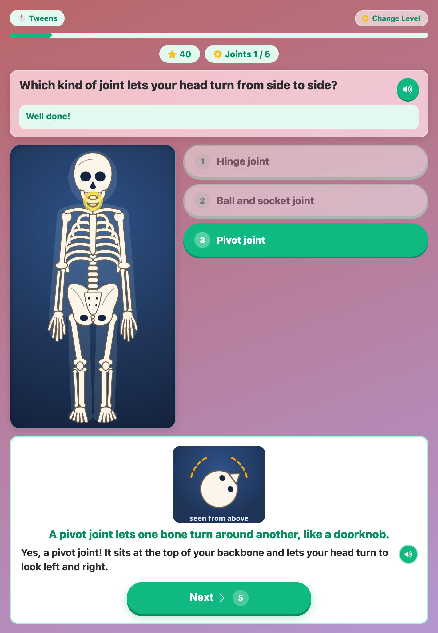 a joint question in Build a Skeleton for tweens, with a yellow ring on the neck and the pivot joint answer chosen