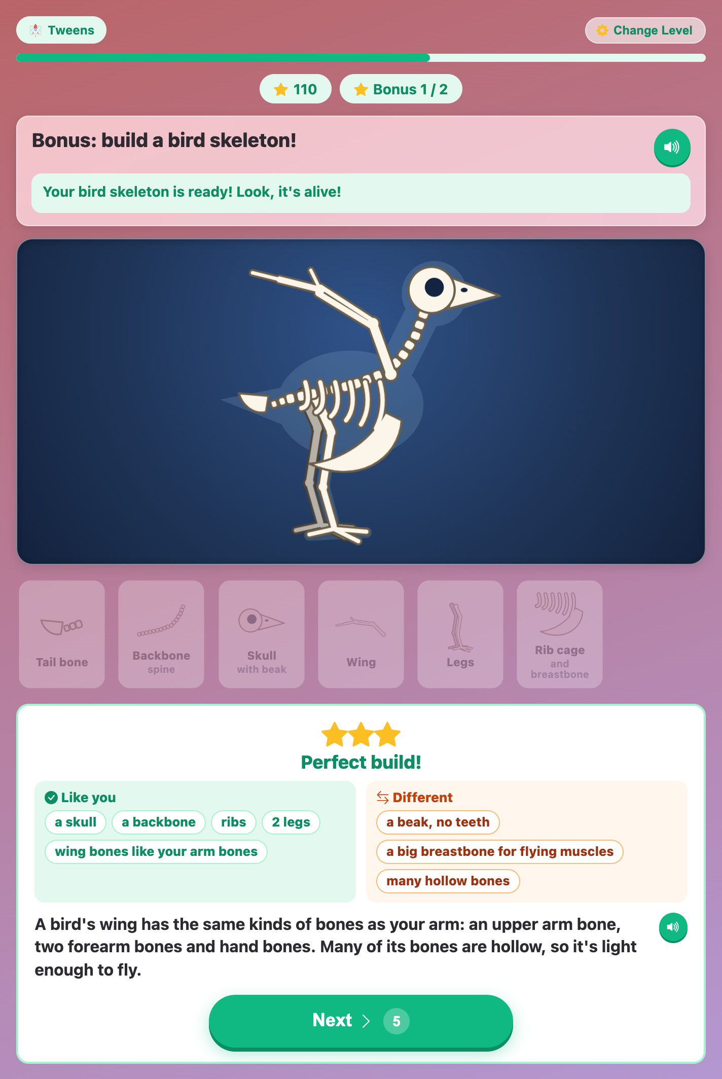 a bonus bird skeleton built in Build a Skeleton, with Like you and Different chips comparing it with a person