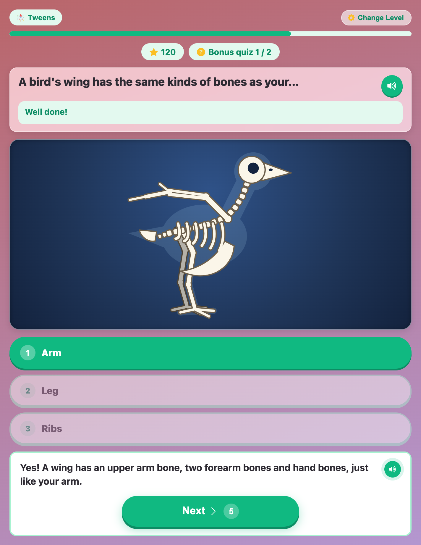 the bonus quiz asking which of your bones match a bird wing, with Arm picked as the right answer