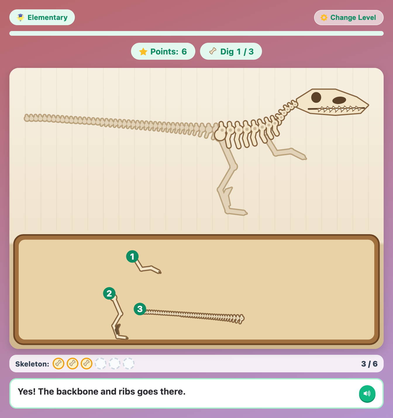 a Velociraptor skeleton outline with the skull, neck and backbone in place and three numbered bones left in the tray